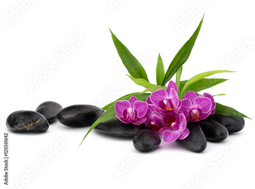 Zen pebbles and orchid flower. Stone spa and healthcare concept.