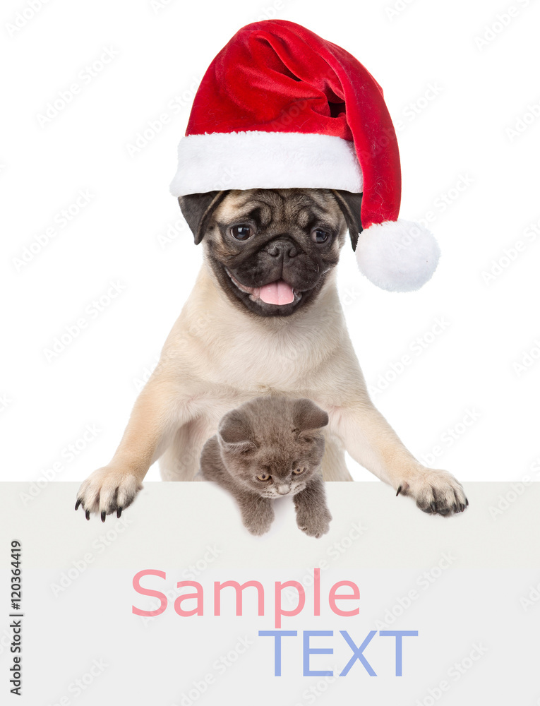 Cat and Dog with red Santa Claus hat above white banner. isolated on white