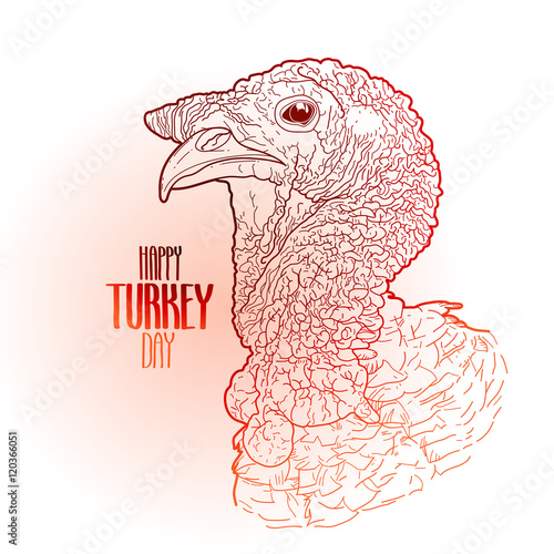 Vector turkey head