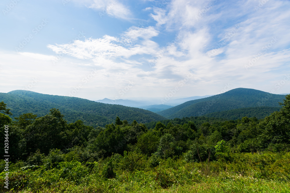 Scenic Summer Landscape on Overlook Drive Shenandoah National Pa