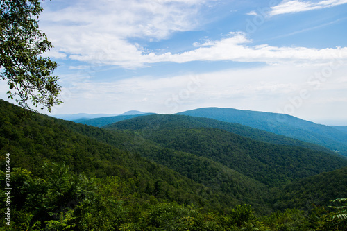 Scenic Summer Landscape on Overlook Drive Shenandoah National Pa