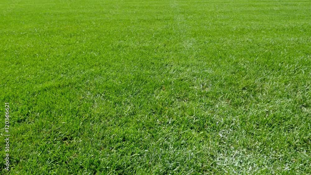 Two players at the center point of a football field ready to start the match, camera goes to them Two players at the center point of a football field ready to start the match, camera goes to them