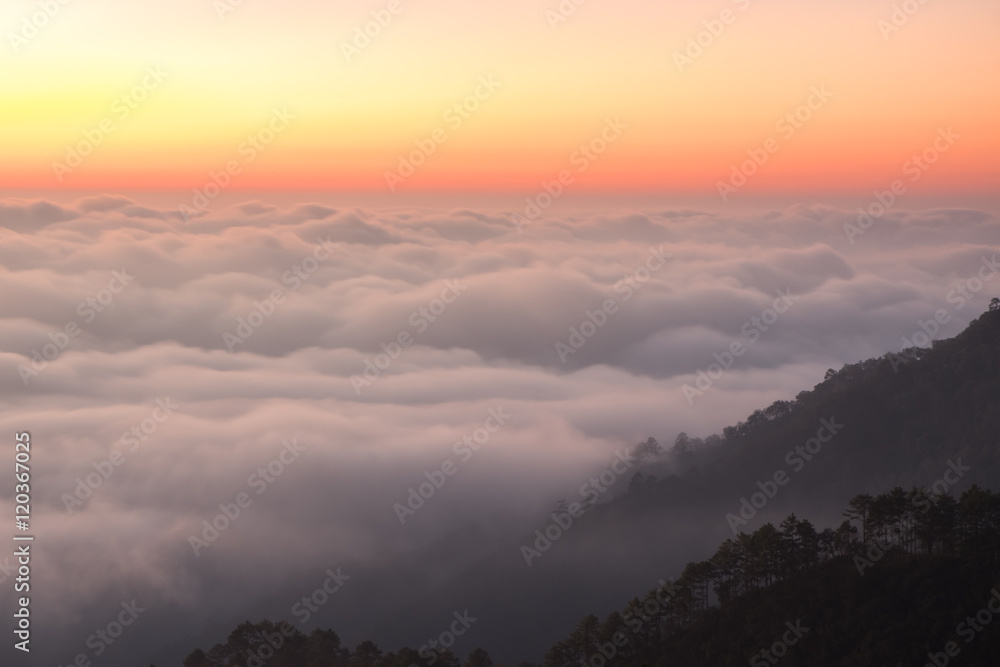 Sea of mist at morning time in Angkhang national park, Chiangmai province, Thailand