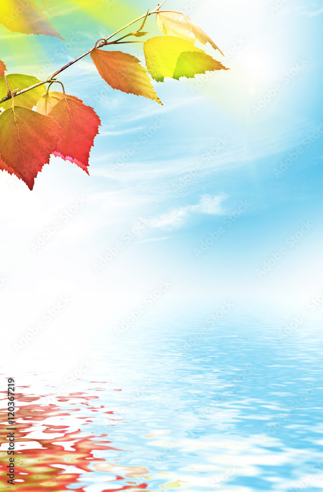 Obraz premium autumn landscape with bright colorful foliage. Indian summer.