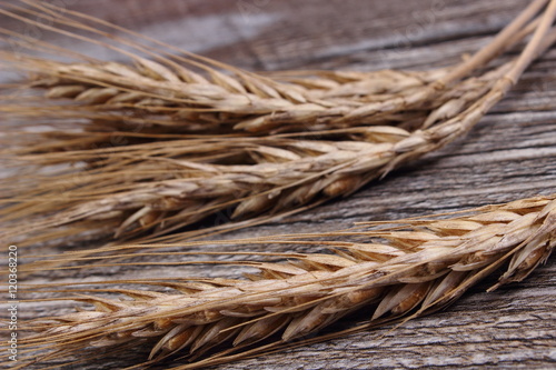 Ears of rye grain on wooden background
