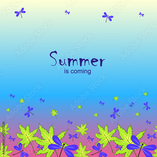 summer is coming-4