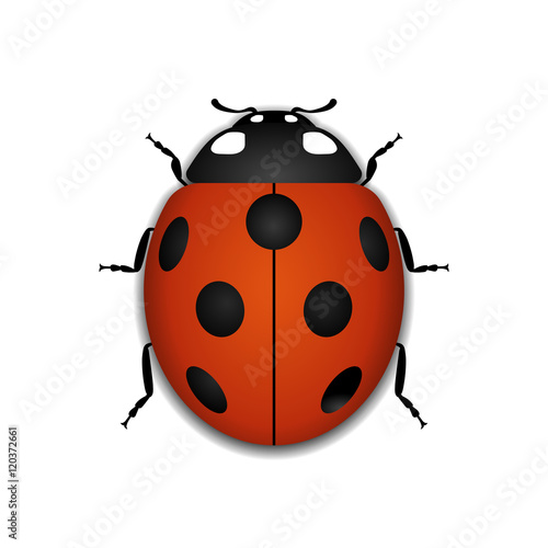 Ladybug small icon. Red lady bug sign, isolated on white background. 3d volume design. Cute colorful ladybird. Insect cartoon beetle. Symbol of nature, spring or summer. Vector illustration © alona_s