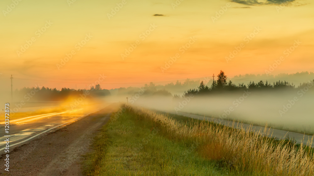 The road in the fog
