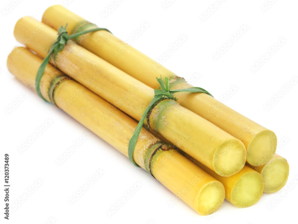 Pieces of sugarcane Pieces of sugarcane