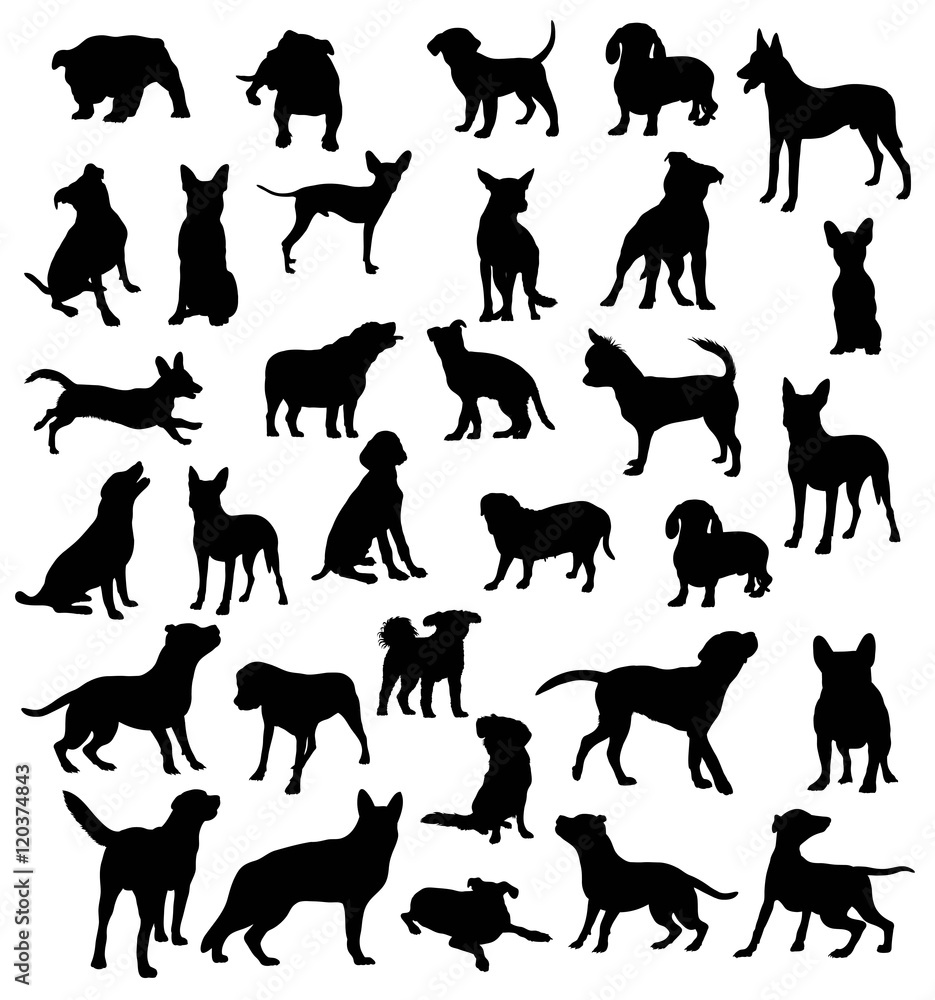 Dog Collection Silhouettes, Pet Animal, art vector design,easy to use for the logo, mascot, stickers, web element, icons and the like