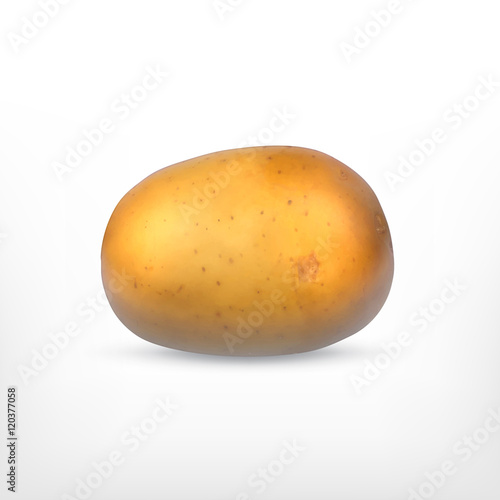 Potato