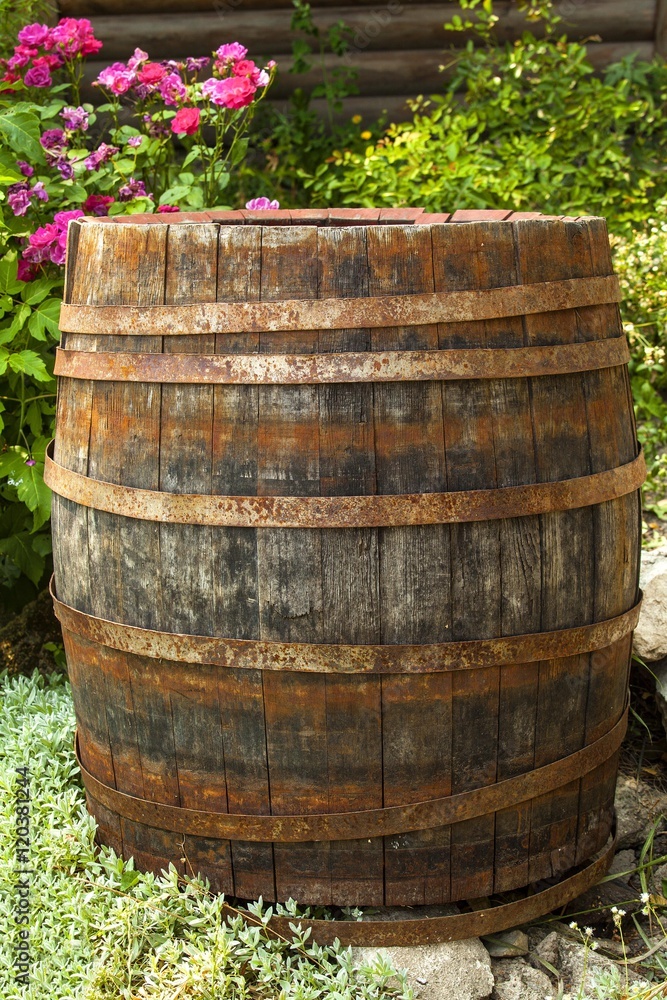 old wooden barrel amid garden pink flowers old wooden barrel amid garden pink flowers