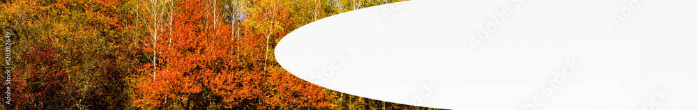 Banner Herbst Vorlage1 Banner Herbst Vorlage1