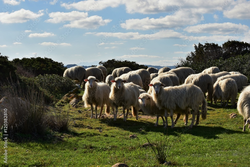 FOTO DI GRUPPO A CAPRERA