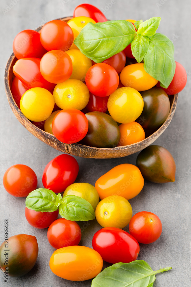 Tomatoes on the gray background. Colorful tomatoes, red tomatoes Tomatoes on the gray background. Colorful tomatoes, red tomatoes
