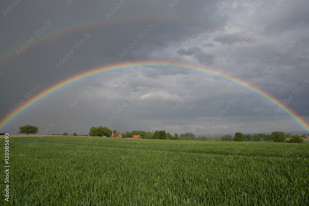 Rainbow green field Rainbow green field