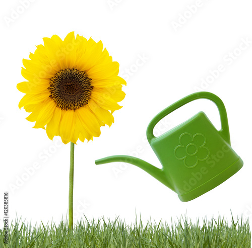 blume Gießen