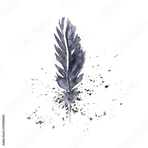 Watercolor feather design