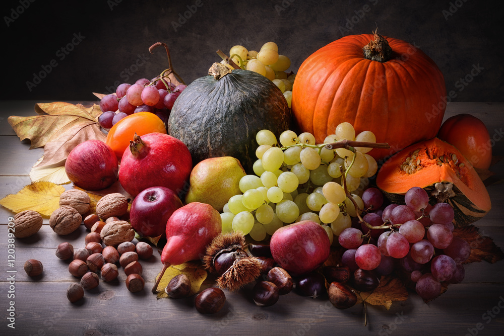 Still life, pumpkins and autumn fruits: grapes, apples, pears, chestnuts, persimmons, walnuts, hazelnuts Still life, pumpkins and autumn fruits: grapes, apples, pears, chestnuts, persimmons, walnuts, hazelnuts