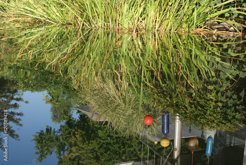 Fluss mit Bootshaus-Spiegelung photo