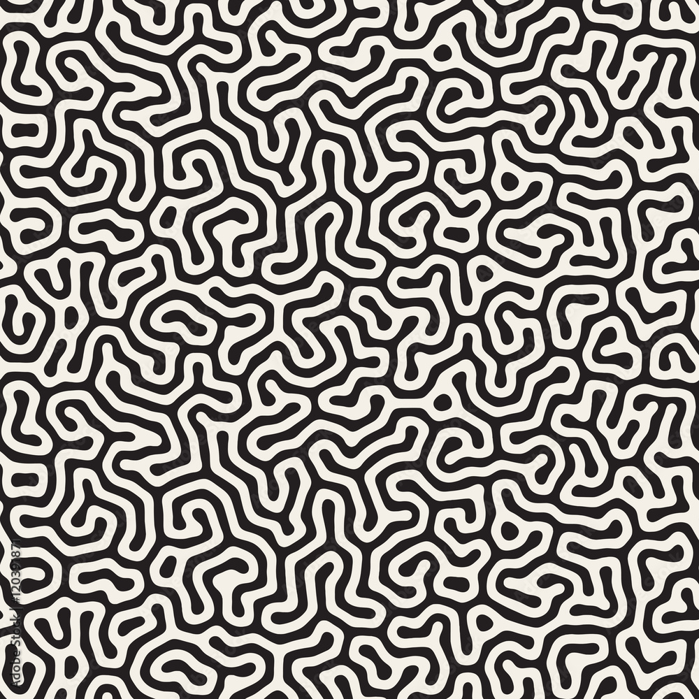 Vector Seamless Black and White Organic Lines Pattern