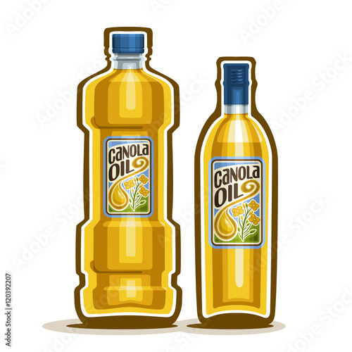 Vector logo 2 yellow plastic and glass Bottle with pure Canola Oil and label, bottles virgin cooking colza oil, container natural organic rapeseed oily liquid with blue cap, closeup isolated on white.