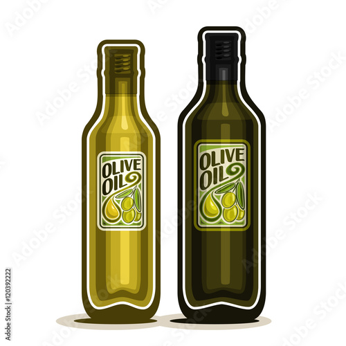 Vector logo 2 green glass Bottle with pure Olive Oil, bottles virgin cooking olive oil, container natural organic liquid with cap and label with olives branch and oily drop, closeup isolated on white.