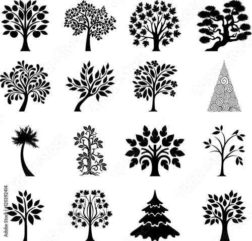 Tree's collection
