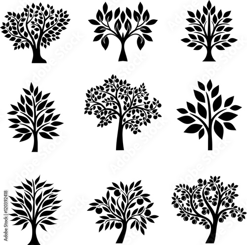 Tree's collection