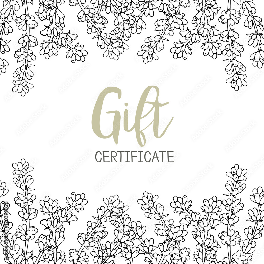 Lavender. A template of the gift certificate for flower shop, card or the invitation. Vector. Graphics Lavender. A template of the gift certificate for flower shop, card or the invitation. Vector. Graphics