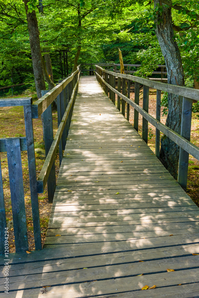 Wooden wheelchair ramp or path in Soderasen national park in Sweden.