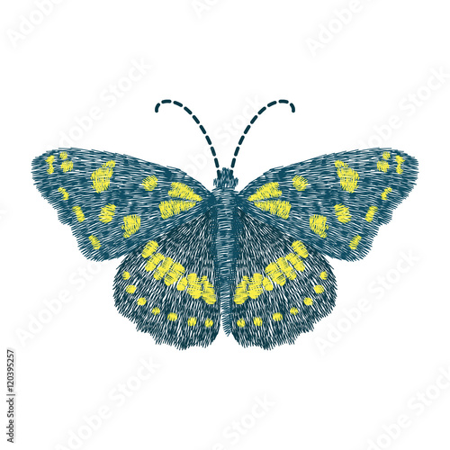 embroidery butterfly design for clothing. isolated insect vector