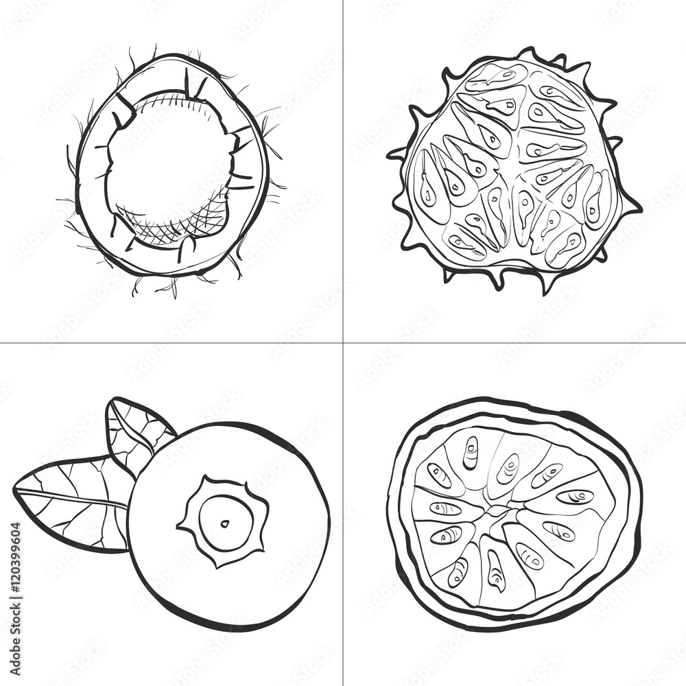 Set of fresh hand drawn fruits and vegetables and products. Eco healthy food. Set of fresh hand drawn fruits and vegetables and products. Eco healthy food.