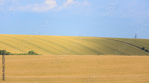 Agricultural land and blue sky