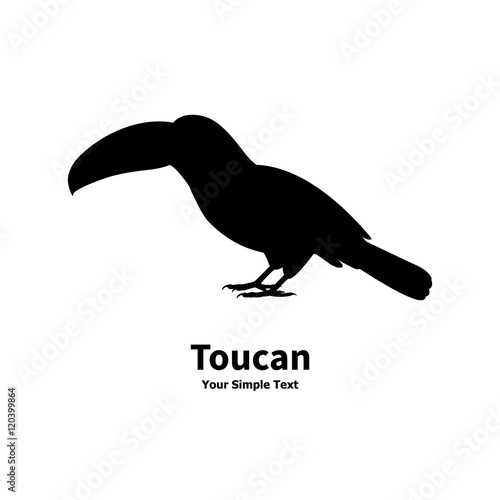 Standing on the ground silhouette toucan