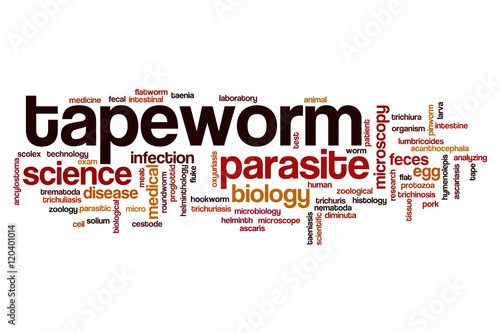 Tapeworm word cloud