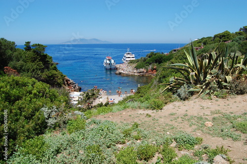 isola di Giannutri (Toscana)