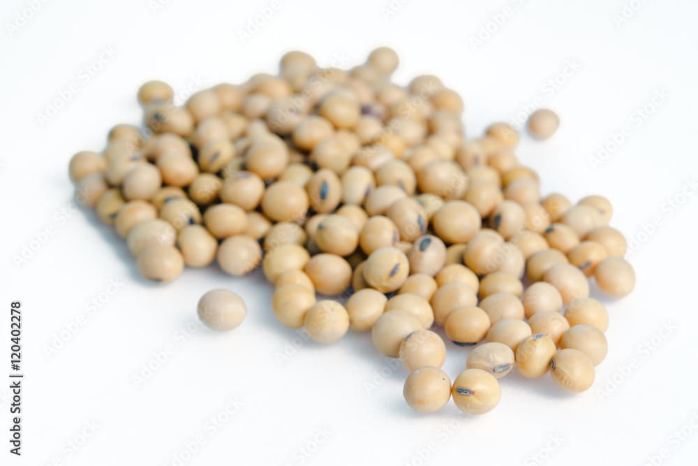 Soybean or soy bean isolated on white background Soybean or soy bean isolated on white background