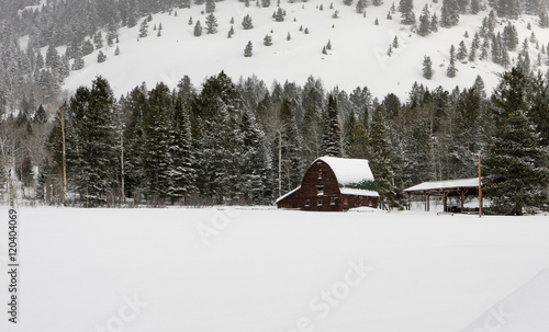 Winter Barn photo