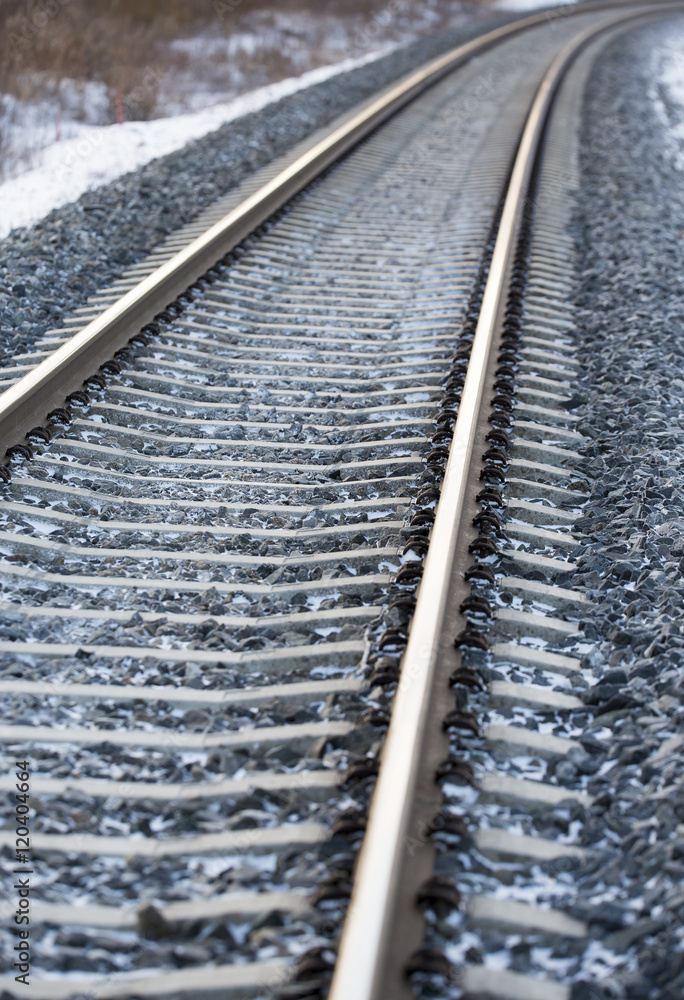 Fototapeta premium Railroad tracks going far away.