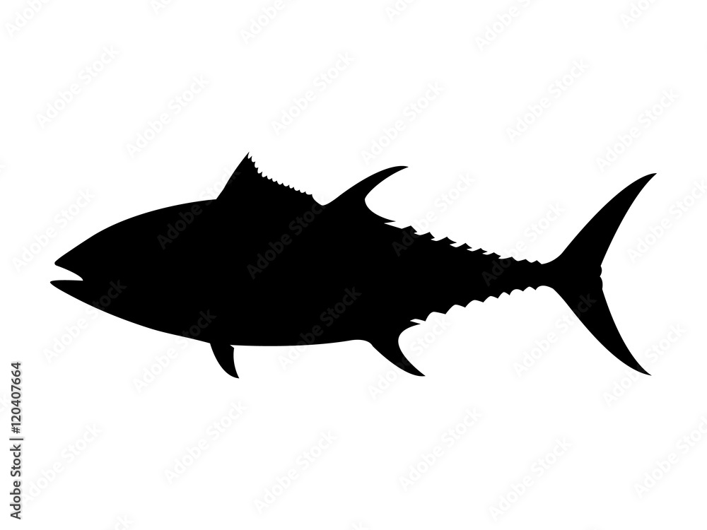 Fototapeta premium Bluefin tuna silhouette. Vector illustration.
