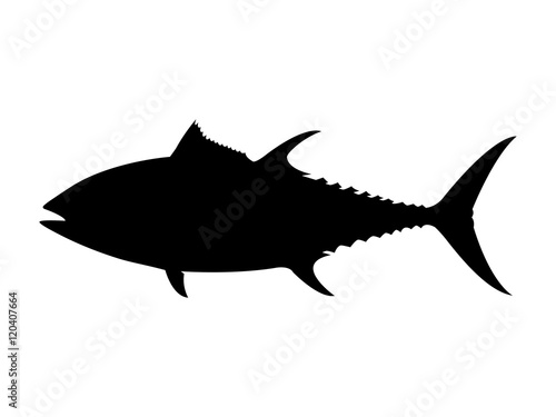 Bluefin tuna silhouette. Vector illustration.