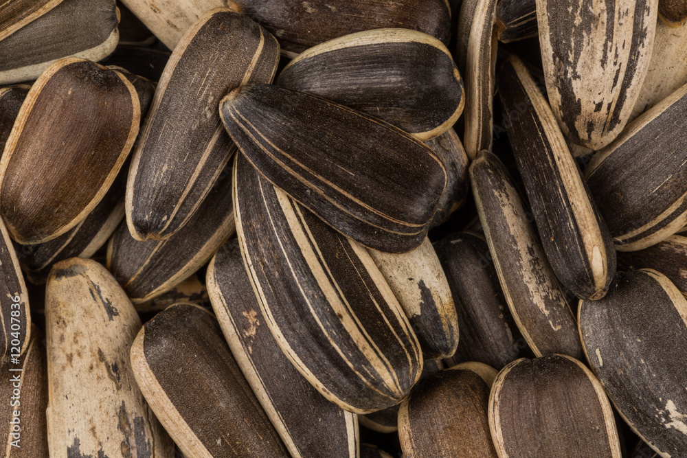 sunflower seeds pile