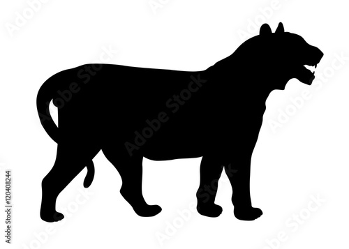 Fototapeta Naklejka Na Ścianę i Meble -  Tiger vector illustration black silhouette