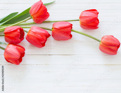 Fototapeta Naklejka Na Ścianę i Meble -  beautiful tulips on wooden background