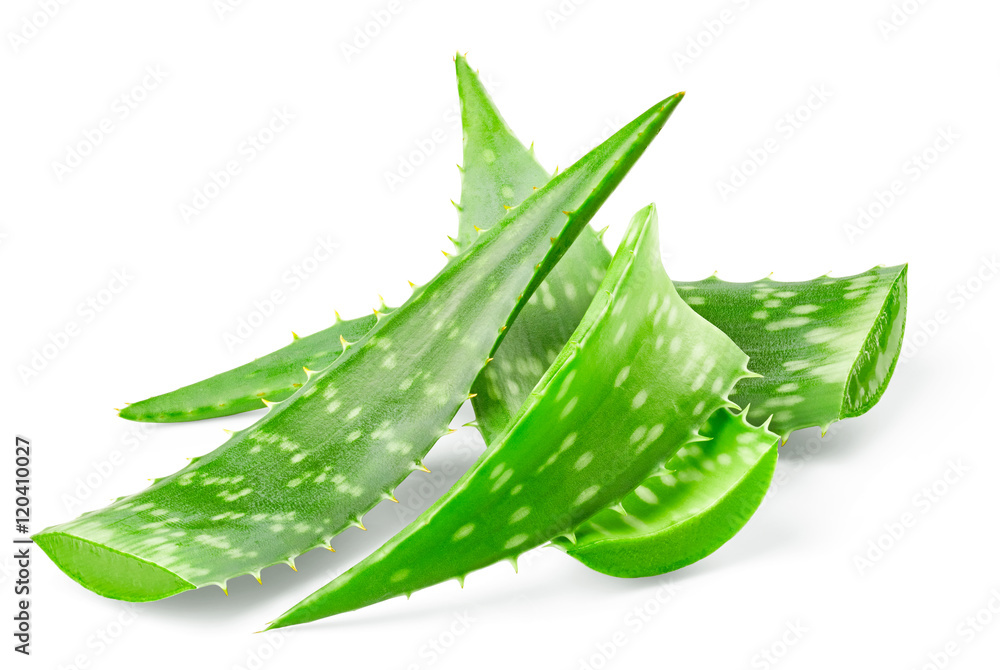 Wunschmotiv: Aloe vera leaves isolated on white background #120410027