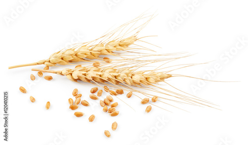 Vászonkép Ears of wheat