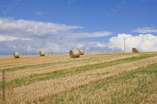 Yellow bales of hay on a harvested field, sky with white clouds. Beautiful landscape wheat field after harvest. 