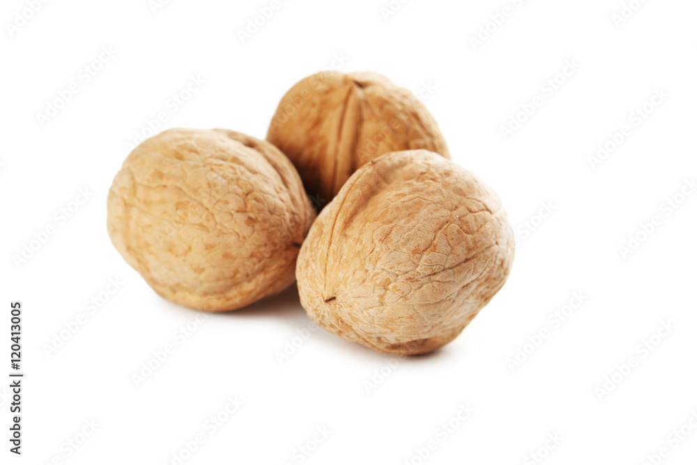 Walnut isolated on a white background Walnut isolated on a white background