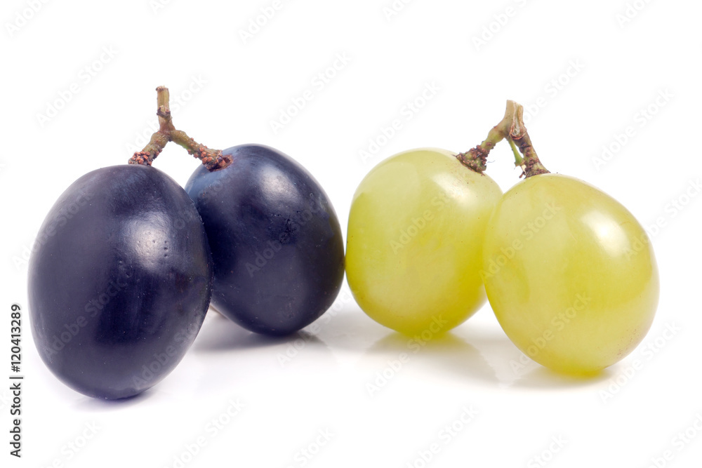 green and blue grapes isolated on white background green and blue grapes isolated on white background